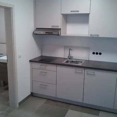 Gaestehaus Brunnerhof - Reisen דירה *